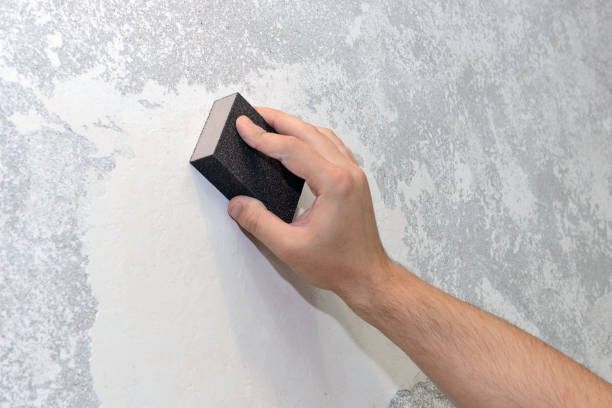 Best Mold Documentation for Insurance Claims  in Homestead Meadows North, TX