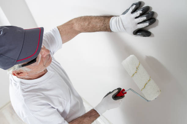 Best Basement Mold Removal  in Homestead Meadows North, TX