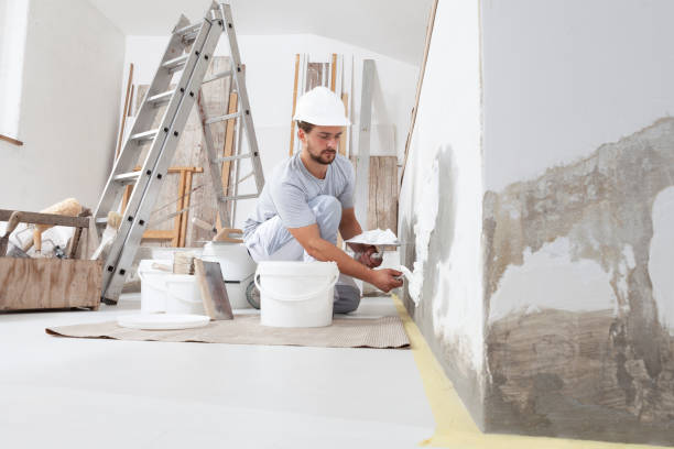 Best Mold Damage Restoration  in Homestead Meadows North, TX