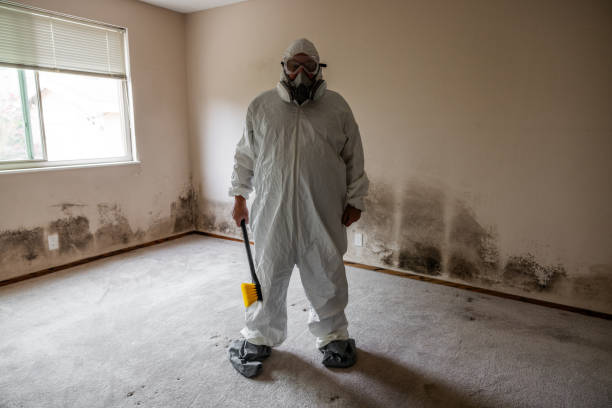 Best HVAC Mold Inspection and Cleaning  in Homestead Meadows North, TX