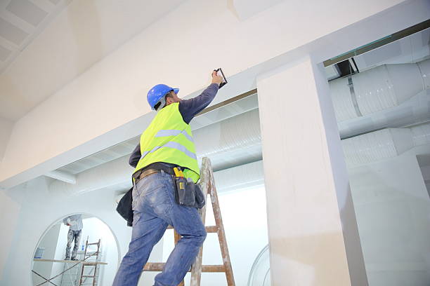 Best Comprehensive Air Testing for Mold Contaminants  in Homestead Meadows North, TX