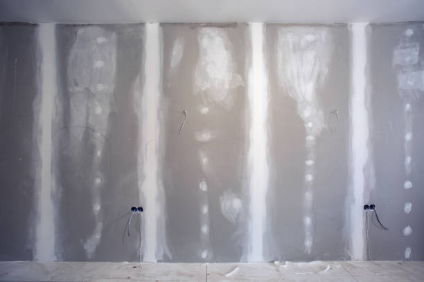 Best Asbestos and Lead Testing During Mold Inspection  in Homestead Meadows North, TX